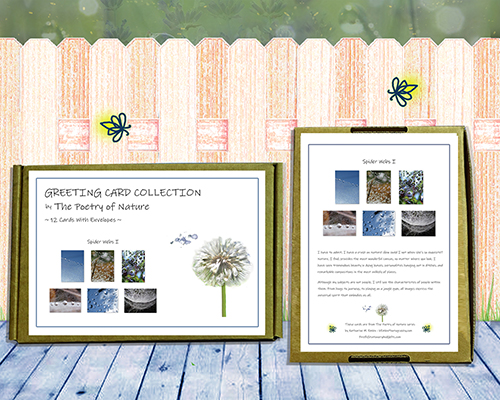 Spider Webs I - Greeting Card Collection by The Poetry of Nature